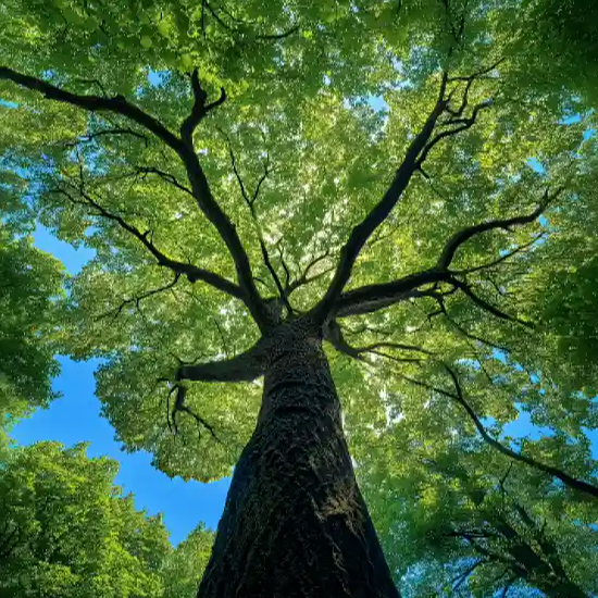 2026 年了，还在折腾自己的博客？